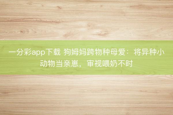 一分彩app下載 狗姆媽跨物種母愛：將異種小動物當(dāng)親崽，審視喂奶不時