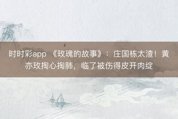時時彩app 《玫瑰的故事》：莊國棟太渣！黃亦玫掏心掏肺，臨了被傷得皮開肉綻