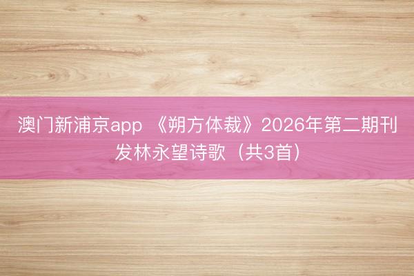 澳門新浦京app 《朔方體裁》2026年第二期刊發林永望詩歌（共3首）