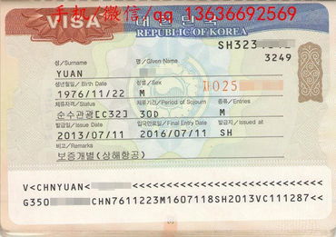 簽證優惠全解析 美亞保險與多國簽證便捷辦理指南